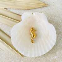 Lesen Palm And Sky Bewertungen